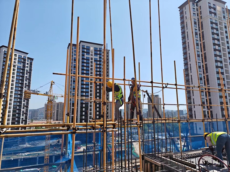 202408051722821637684049.jpg 照片 (2).jpg