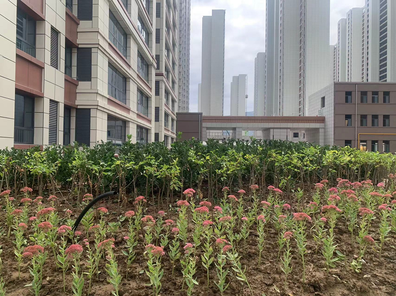 202409171726560400834805.png 圖片2.png