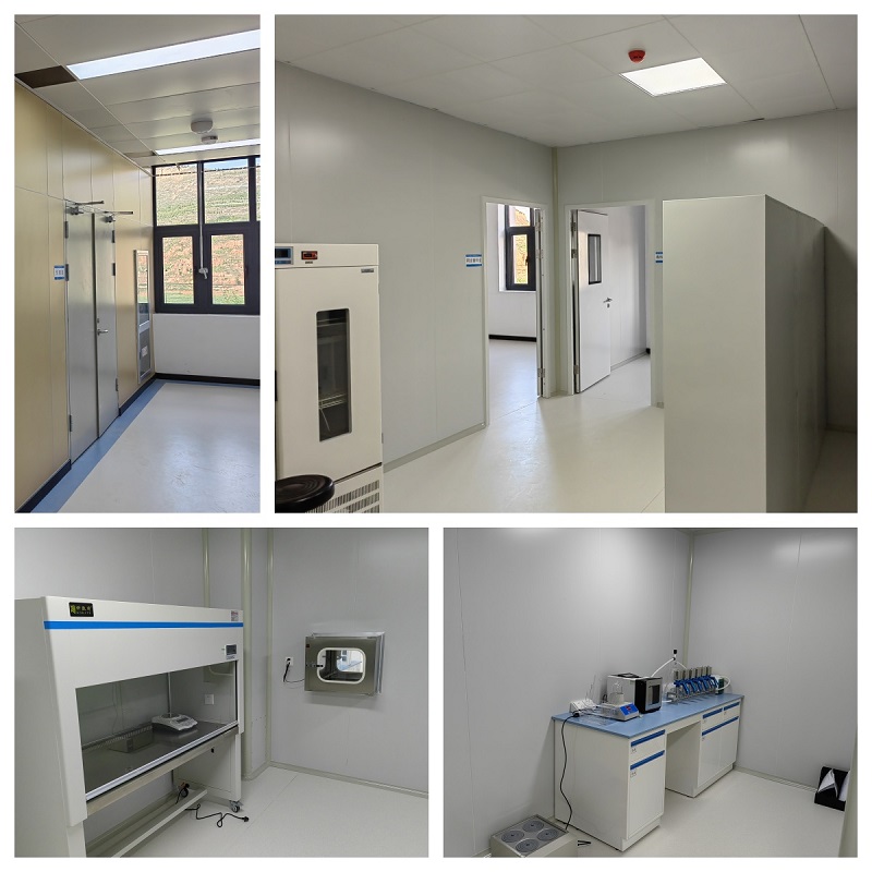 202409291727570287688789.jpg 1.jpg